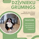 груминг домашних животных