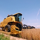 Agricultural services