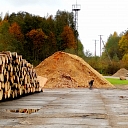 Timber company