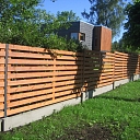 Žogi