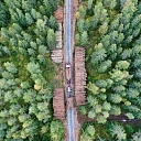 Услуги лесовоза