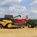 grain growing in Vilaka