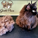 уход за кошками