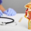 Ear, neck and nose diseases