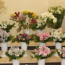 A large selection of fresh flowers