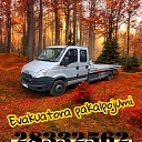 Перевозка пассажиров