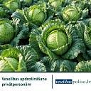 Health insurance for private persons