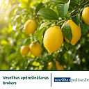 Health insurance broker