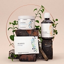 Zinzino Health Protocol