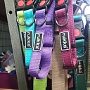 зоомагазин в Цесисе