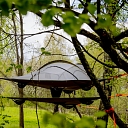 Telts liepās
