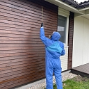 Wasp and other pest control