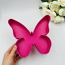 Celebration decorations