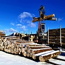 purchase of logs