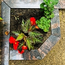 grave site improvement