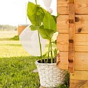 Sauna in Ropaži region