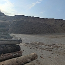 purchase of round timber