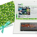 shop gift cards