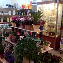 Flower shop base in Riga