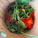 Herbal therapy in the sauna