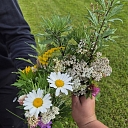 Profesionāla pirts izglītība