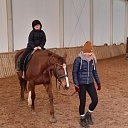 Social rehabilitation