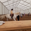 Талсинский кризисный центр