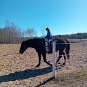 Social rehabilitation