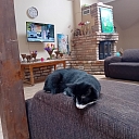 Кризисный центр для женщин и детей