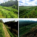 lawn seeding, mowing