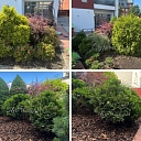 territory improvement