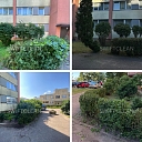 nekustamo īpašumu pārvaldnieki