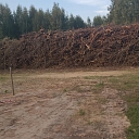 clean-up of overgrown agricultural land