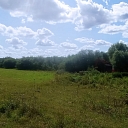 clearing the forest edge from bushes