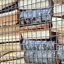 Stacked firewood in steros