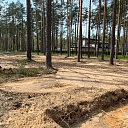 forest land
