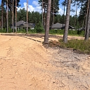 purchase of forests