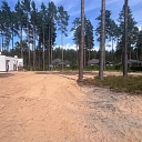 покупка леса