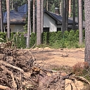 purchase of forest properties