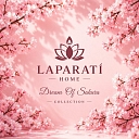 Dream Of Sakura Collection
