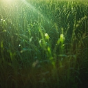 ОГРЭС ПОХОРОННЫЙ ЦЕНТР