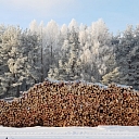 Logging company in Kurzeme