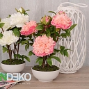 ALANDEKO decorative indoor plants metal lantern artificial flowers in pots