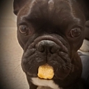 "Paw", fresh food concept store