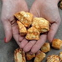 "Paw", fresh food concept store