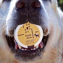 "Paw", fresh food concept store