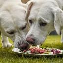 "Paw", fresh food concept store