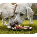 "Paw", fresh food concept store