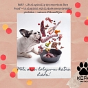 "Paw", fresh food concept store