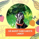 "Ķepa", svaigbarības koncepta veikals
